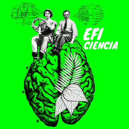 Ilustración eficiencia